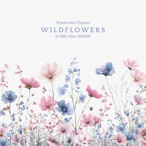 Op de afbeelding: Waterverfillustratie van wilde bloemen in roze en blauwe tinten. De afbeelding toont verschillende bloemsoorten, waaronder cosmos en ridderspoor, met fijne details. Tekst bovenaan luidt "Watercolor Cliparts WILDFLOWERS 12 PNG Files, 300DPI."