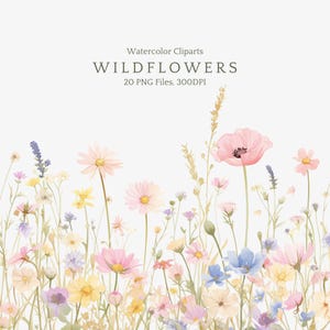 Aquarel bloemenrand png, wilde bloemen randen, wilde bloemen clipart, aquarel clipart, trouwkaart, weidebloemen, lentebloemen