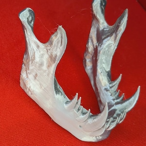 May include: A silver-colored, 3D-printed model of a jawbone, resting on a red surface. The jaw model is detailed, showing the teeth and overall structure. The object is likely for educational or decorative purposes.