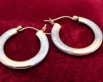 Costume Hoop Earrings Silver/Gold Tone