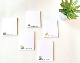 What&#39;s Up Succa? Notepads - House Plant Humor - Gift For Crazy Plant Friends - Cute Coworker Gift - Individual 50-Sheet Packaged Notepads