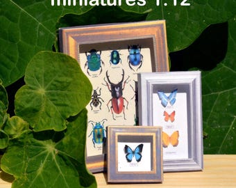 Miniature Butterfly Frame DIY Printable Kit – 1:12 Scale Dollhouse Accessory
