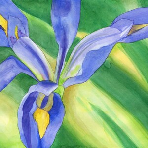 Iris Note Card Set of Eight from Four Original Watercolors Iris Thank You Cards Assortment of Cards Springtime Note Card set image 10