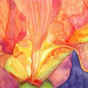 Iris Note Card Set of Eight from Four Original Watercolors Iris Thank You Cards Assortment of Cards Springtime Note Card set image 8