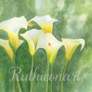 Calla Lily Watercolor Print: Floral Garden Art