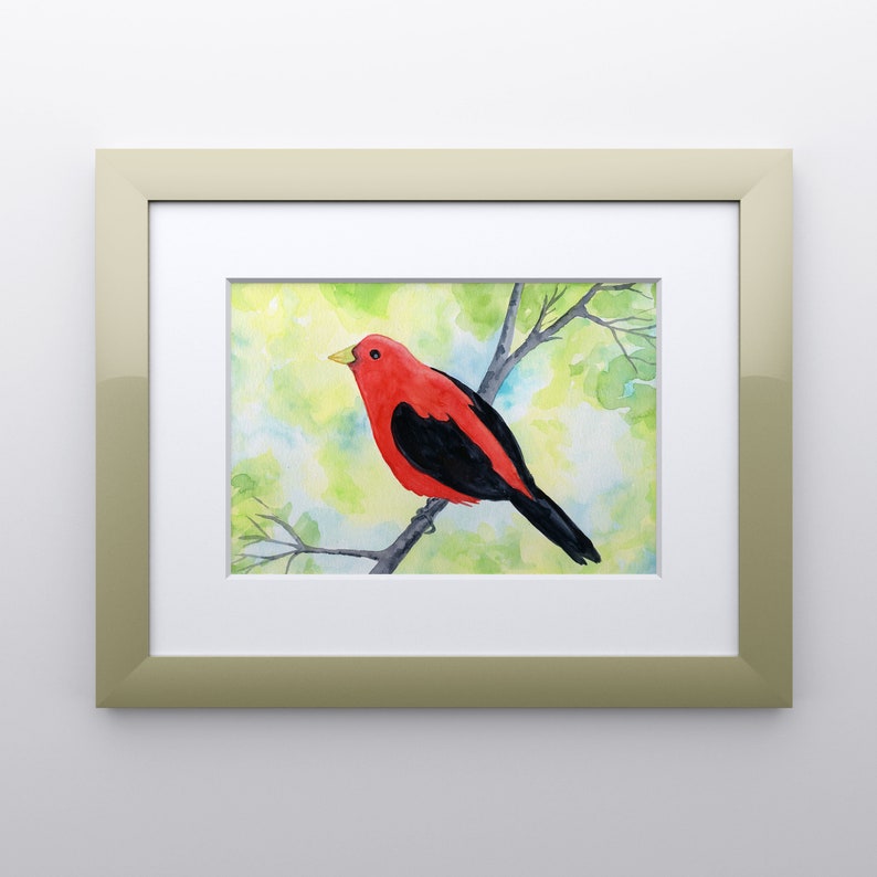 Scarlet Tanager Watercolor Print, 5 x 7, 8 x 10, 10 x 12-inches, Colorful Bird Print, Tanager Décor, Bird Art, Nature Inspired Art image 6
