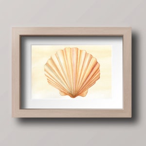 Scallop Shell Print from Original Watercolor, 5 x 7, 8 x 10, 10 x 12, or 11 x 14-inches, Tropical Print, Scallop, Beach Décor