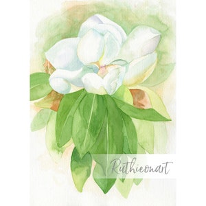 White Magnolia Watercolor Print: Southern Floral Art