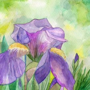 Iris Note Card Set of Eight from Four Original Watercolors Iris Thank You Cards Assortment of Cards Springtime Note Card set image 9