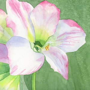 Sweet Love Amaryllis Original Watercolor, 8 x 10-inches, Amaryllis Wall Art, Amaryllis Art, Amaryllis Décor, Floral Art, Garden