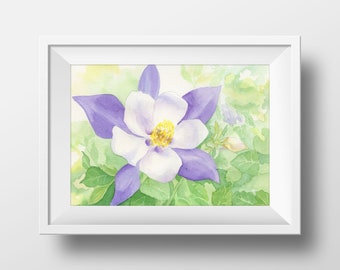 Purple Columbine Watercolor Print, 5 x 7, 8 x 10, 10 x 12, 11 x 14-inches, Nature Inspired Art, Garden Art, Purple Columbine