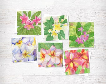 Plumeria Square Cards Set of Six from Original Watercolors, Plumeria Stationary, Pink, White, Rose Bloom, Tropical vibe