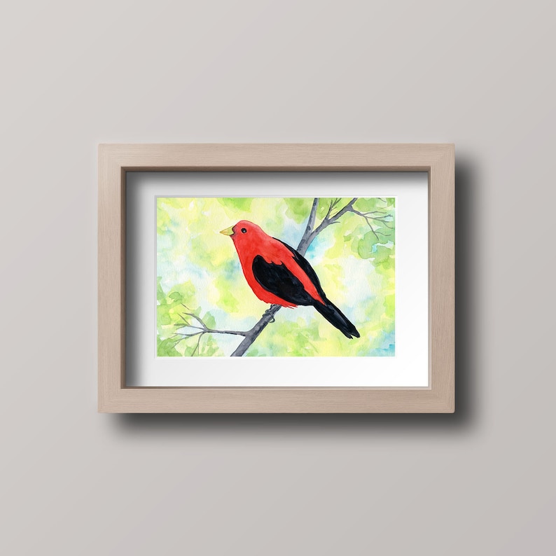 Scarlet Tanager Watercolor Print, 5 x 7, 8 x 10, 10 x 12-inches, Colorful Bird Print, Tanager Décor, Bird Art, Nature Inspired Art image 4
