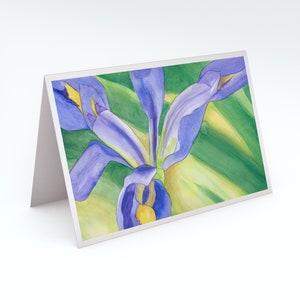 Iris Note Card Set of Eight from Four Original Watercolors Iris Thank You Cards Assortment of Cards Springtime Note Card set image 7