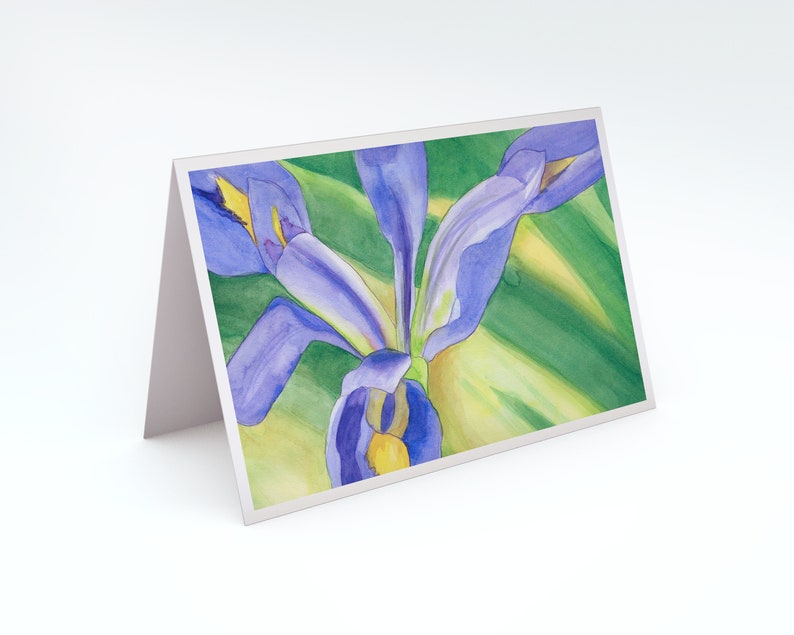 Iris Note Card Set of Eight from Four Original Watercolors Iris Thank You Cards Assortment of Cards Springtime Note Card set image 7