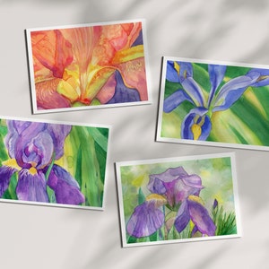 Iris Note Card Set of Eight from Four Original Watercolors Iris Thank You Cards Assortment of Cards Springtime Note Card set image 1