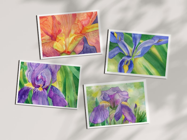 Iris Note Card Set of Eight from Four Original Watercolors Iris Thank You Cards Assortment of Cards Springtime Note Card set image 1