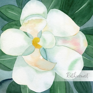 Magnolia Watercolor Print: Southern Floral Art on Cotton Paper