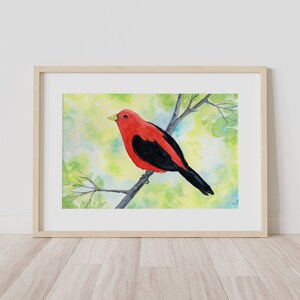 Scarlet Tanager Watercolor Print, 5 x 7, 8 x 10, 10 x 12-inches, Colorful Bird Print, Tanager Décor, Bird Art, Nature Inspired Art image 3