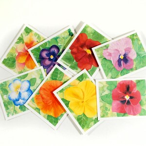 Pansy Notecards: Set of 8 Watercolor Floral Thank You Cards