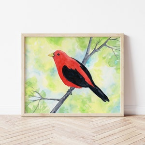 Scarlet Tanager Watercolor Print, 5 x 7, 8 x 10, 10 x 12-inches, Colorful Bird Print, Tanager Décor, Bird Art, Nature Inspired Art image 8