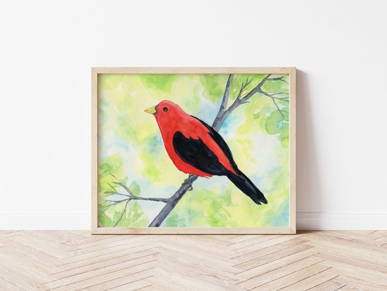Scarlet Tanager Watercolor Print, 5 x 7, 8 x 10, 10 x 12-inches, Colorful Bird Print, Tanager Décor, Bird Art, Nature Inspired Art image 8