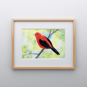 Scarlet Tanager Watercolor Print, 5 x 7, 8 x 10, 10 x 12-inches, Colorful Bird Print, Tanager Décor, Bird Art, Nature Inspired Art image 7