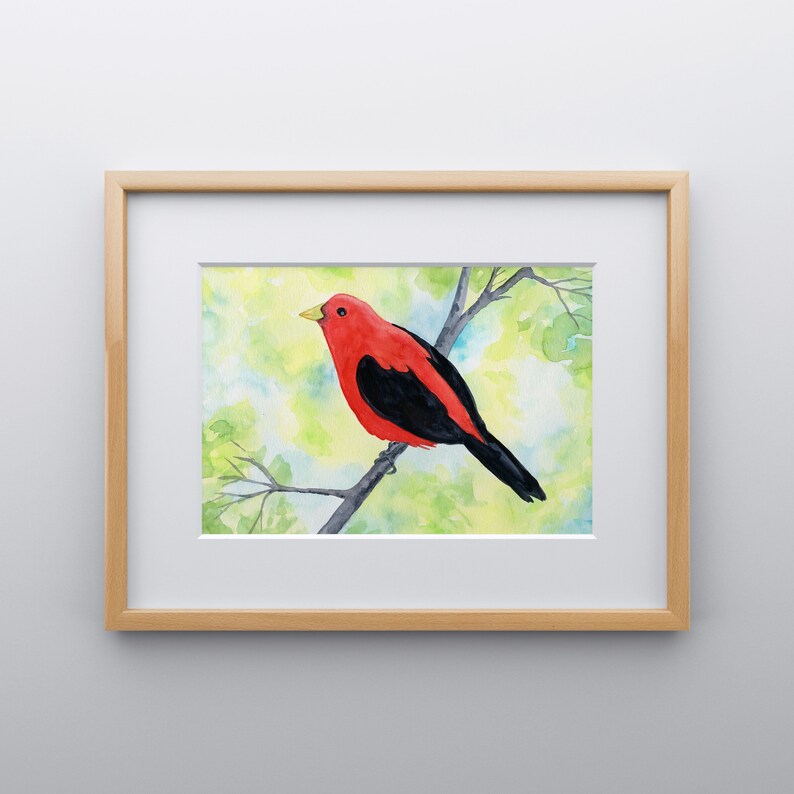 Scarlet Tanager Watercolor Print, 5 x 7, 8 x 10, 10 x 12-inches, Colorful Bird Print, Tanager Décor, Bird Art, Nature Inspired Art image 7