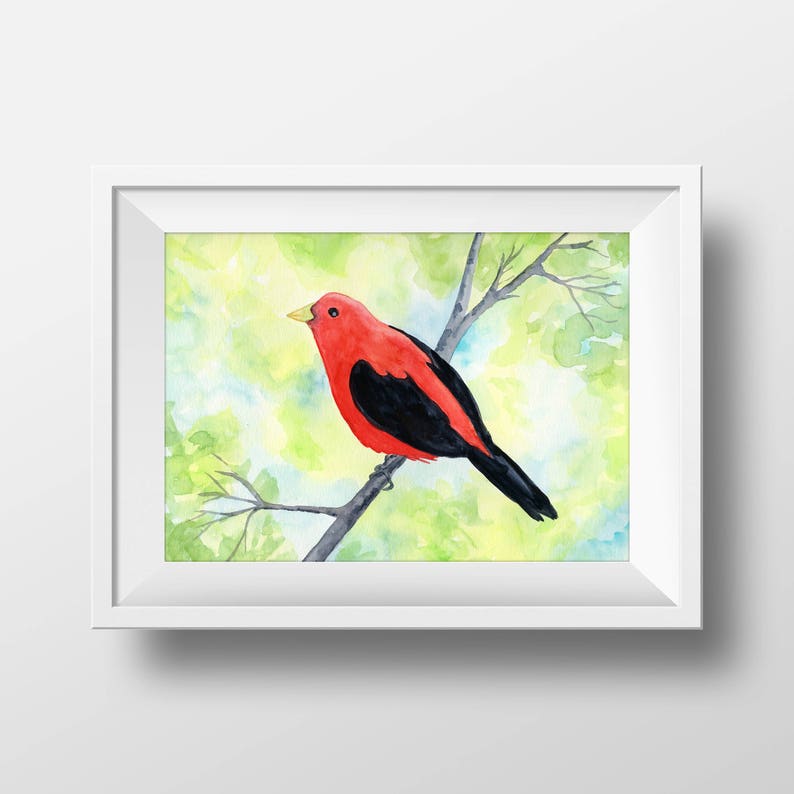 Scarlet Tanager Watercolor Print, 5 x 7, 8 x 10, 10 x 12-inches, Colorful Bird Print, Tanager Décor, Bird Art, Nature Inspired Art image 1