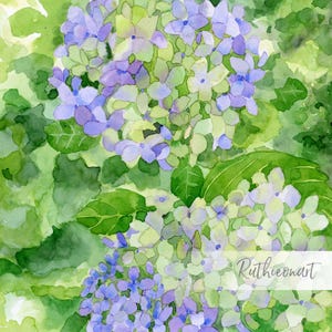Blue Hydrangea Watercolor Print: Floral Botanical Wall Art