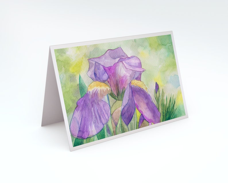 Iris Note Card Set of Eight from Four Original Watercolors Iris Thank You Cards Assortment of Cards Springtime Note Card set image 4