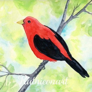 Scarlet Tanager Watercolor Print, 5 x 7, 8 x 10, 10 x 12-inches, Colorful Bird Print, Tanager Décor, Bird Art, Nature Inspired Art image 2