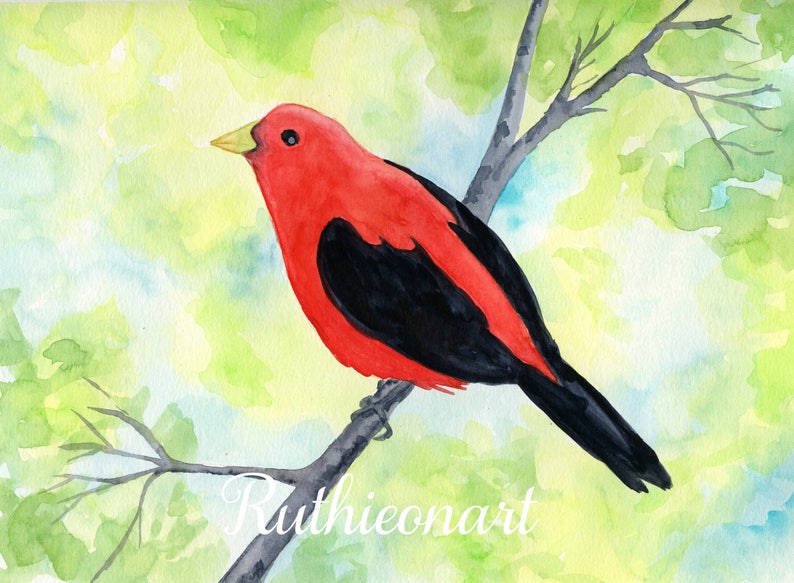 Scarlet Tanager Watercolor Print, 5 x 7, 8 x 10, 10 x 12-inches, Colorful Bird Print, Tanager Décor, Bird Art, Nature Inspired Art image 2