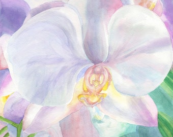 White Orchid #3 Original Watercolor, 11 x 13 inches, White Orchid Floral Decor, White Orchid Art, Nature Inspired Art, Pale Purple