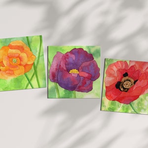 Watercolor Poppy Cards: Floral Art, Set of 3