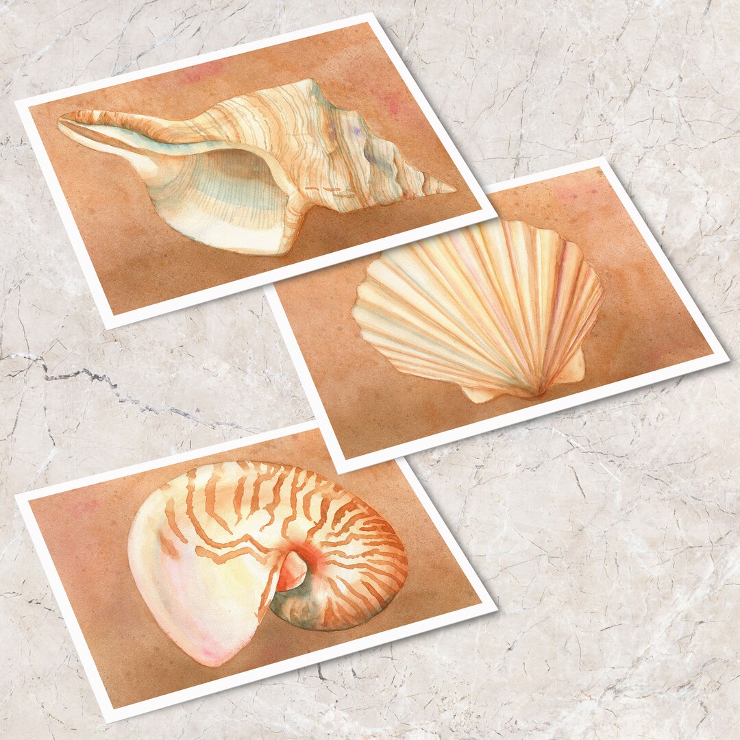 Shell Notecards for Ovarian Cancer Research; Set of 6 Shell Note Cards ...