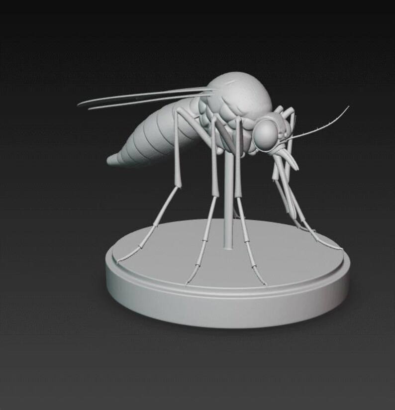 Mosquito Collection Dangerous Animals - 3D Model for Printing STL ...