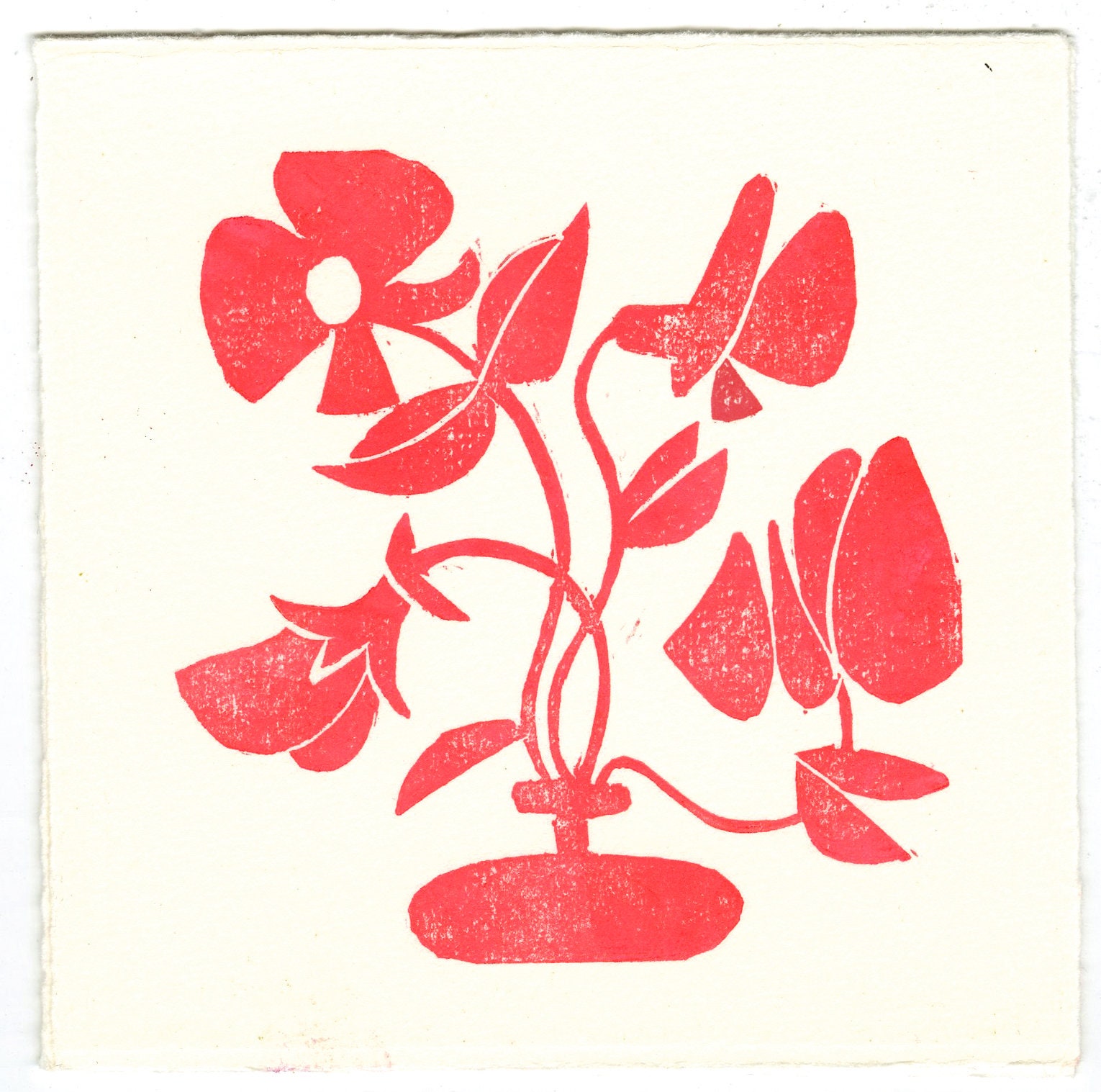Poppy Linoleum Block Print 
