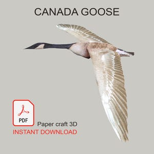 Modello 3D in carta dell’oca del Canada da costruire. PDF stampabile + istruzioni. Progetto creativo per decorare casa o fare un regalo.