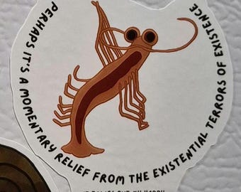 Dancing shrimp