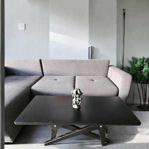 May include: A gray sectional sofa with a black coffee table in a modern living room. The coffee table has a black metal frame and a black wood top. A small decorative sculpture sits on the table.