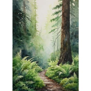 May include: A watercolour painting depicting a forest scene. A path meanders through vibrant green ferns and trees, leading towards a bright, sunlit area. The artwork uses a palette of greens, browns, and soft whites, creating a tranquil, natural landscape.