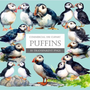Ensemble de cliparts macareux, 10 fichiers PNG haute résolution détaillés avec arrière-plan transparent, idéal pour le scrapbooking, les invitations et les cadeaux pour les amoureux des oiseaux