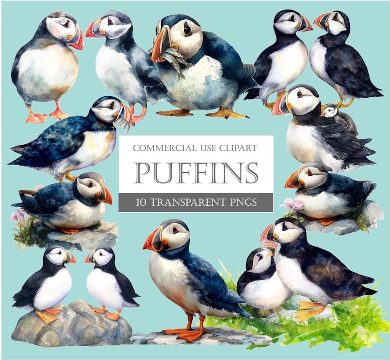 Puede incluir: Ilustraci&oacute;n en acuarela de frailecillos en varias poses. Las aves tienen plumaje blanco y negro, picos y patas naranjas, sobre un fondo azul claro. La imagen incluye el texto "PUFFINS" y "10 TRANSPARENT PNGS".