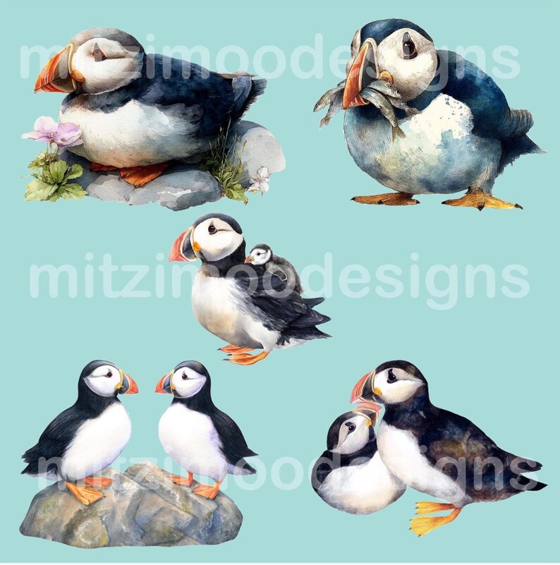 Puede incluir: Ilustraci&oacute;n en acuarela de varios frailecillos en diversas poses. Algunos est&aacute;n posados sobre rocas, mientras que otros sostienen peces en sus picos. Las aves tienen marcas negras, blancas y naranjas, sobre un fondo azul claro.