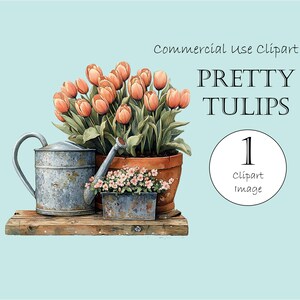 May include: Watercolor illustration of a rustic garden scene. A terracotta pot overflows with peach-colored tulips. A weathered metal watering can and a small rectangular planter with pink flowers sit on a wooden shelf. Text reads "PRETTY TULIPS".