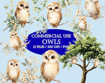 Cute Owl Clipart, Watercolor PNG Illustrations (Digital Download)