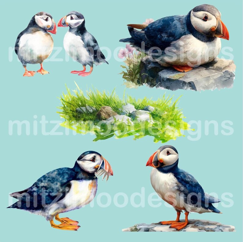 Puede incluir: Ilustraci&oacute;n en acuarela de varios frailecillos en varias poses. Las aves tienen plumaje blanco y negro, patas naranjas y picos grandes y coloridos. Algunos est&aacute;n de pie, mientras que otros est&aacute;n posados en rocas o cerca de la hierba. El fondo es azul claro.