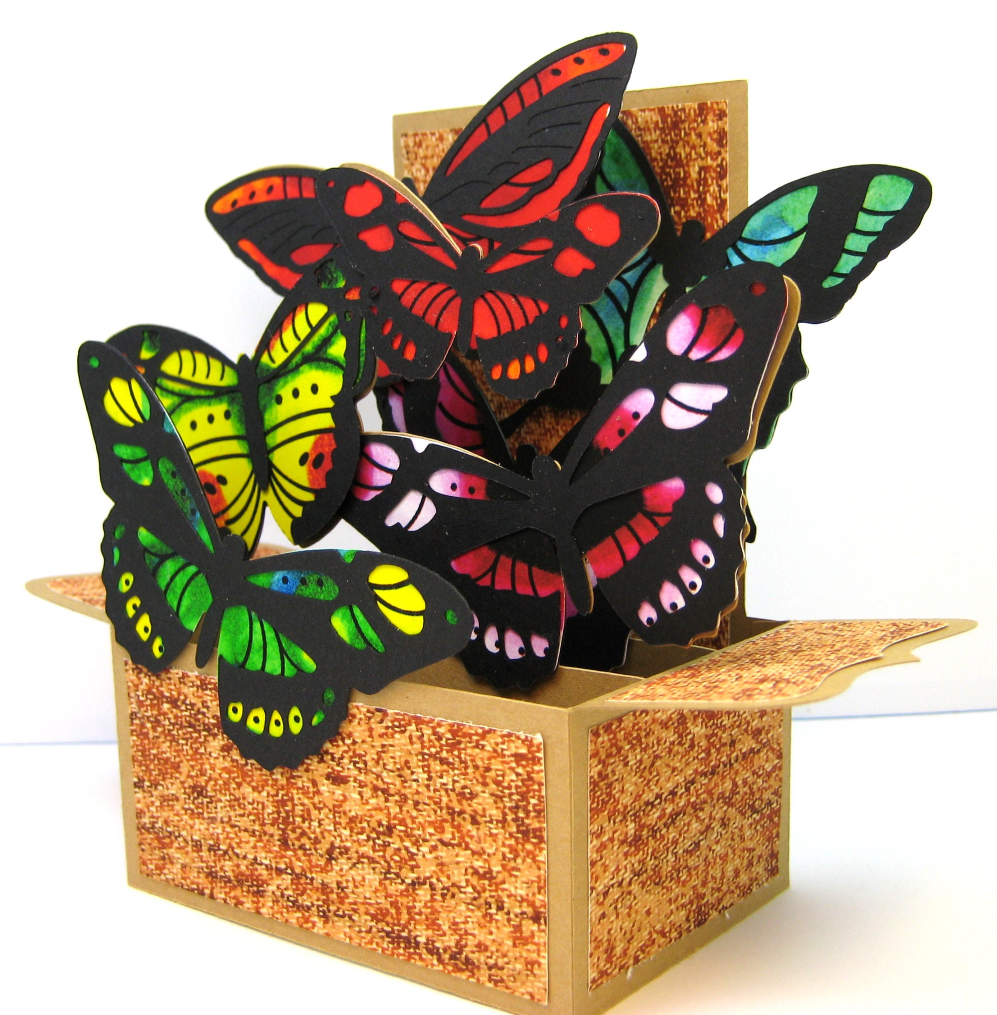 pop open box with butterflies