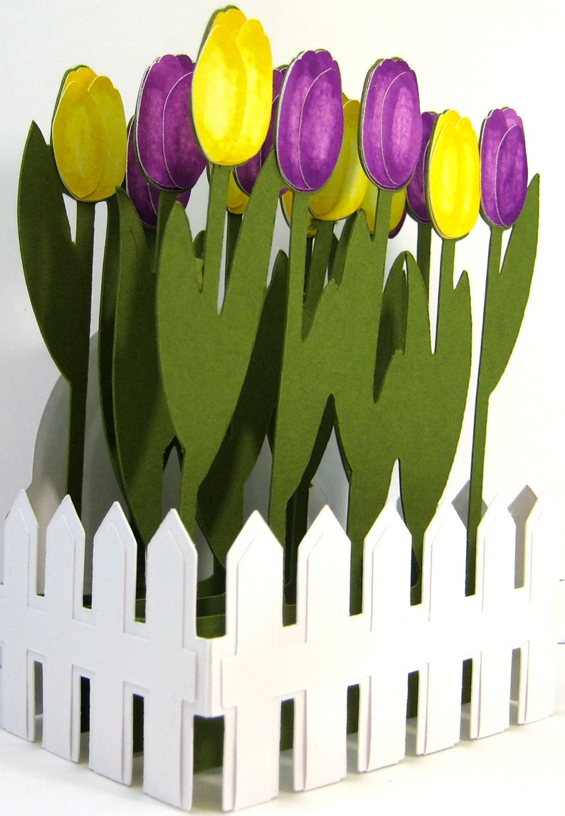 Tulips Purple/yellow 3D Pop up Box Card Spring Flowers Etsy